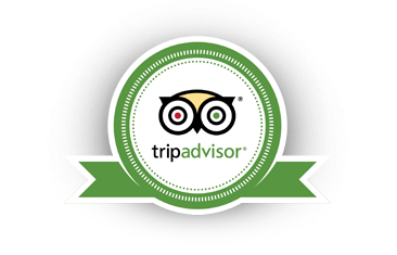 travel advisor