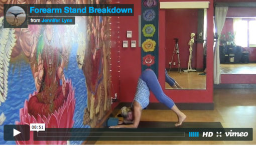 Forearm Stand Breakdown