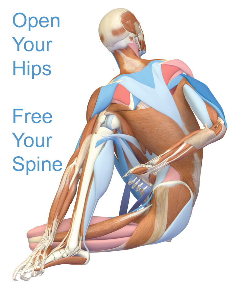 Hips Aligned Intro to Yoga - Hip Alignment - Sunday March 31st, 12:30-2:30pm ...